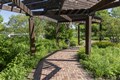 INGR-Spring2024-NativeGarden-©RScottMcNeill-47