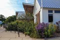 Native_landscaping_around_WC-ERCA-Edit-Web