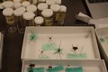 Numbered tubes filled with bugs waiting to be studied.