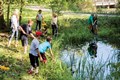PondStudy-TimElliott-5