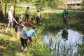 PondStudy-TimElliott-5