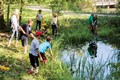 PondStudy-TimElliott-5