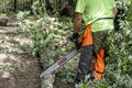 Forestry crew member cutting logs with a chainsaw.
