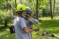 Forestry crew securing ropes for tree climbing.