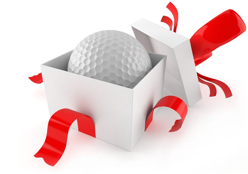 Image result for christmas golfer