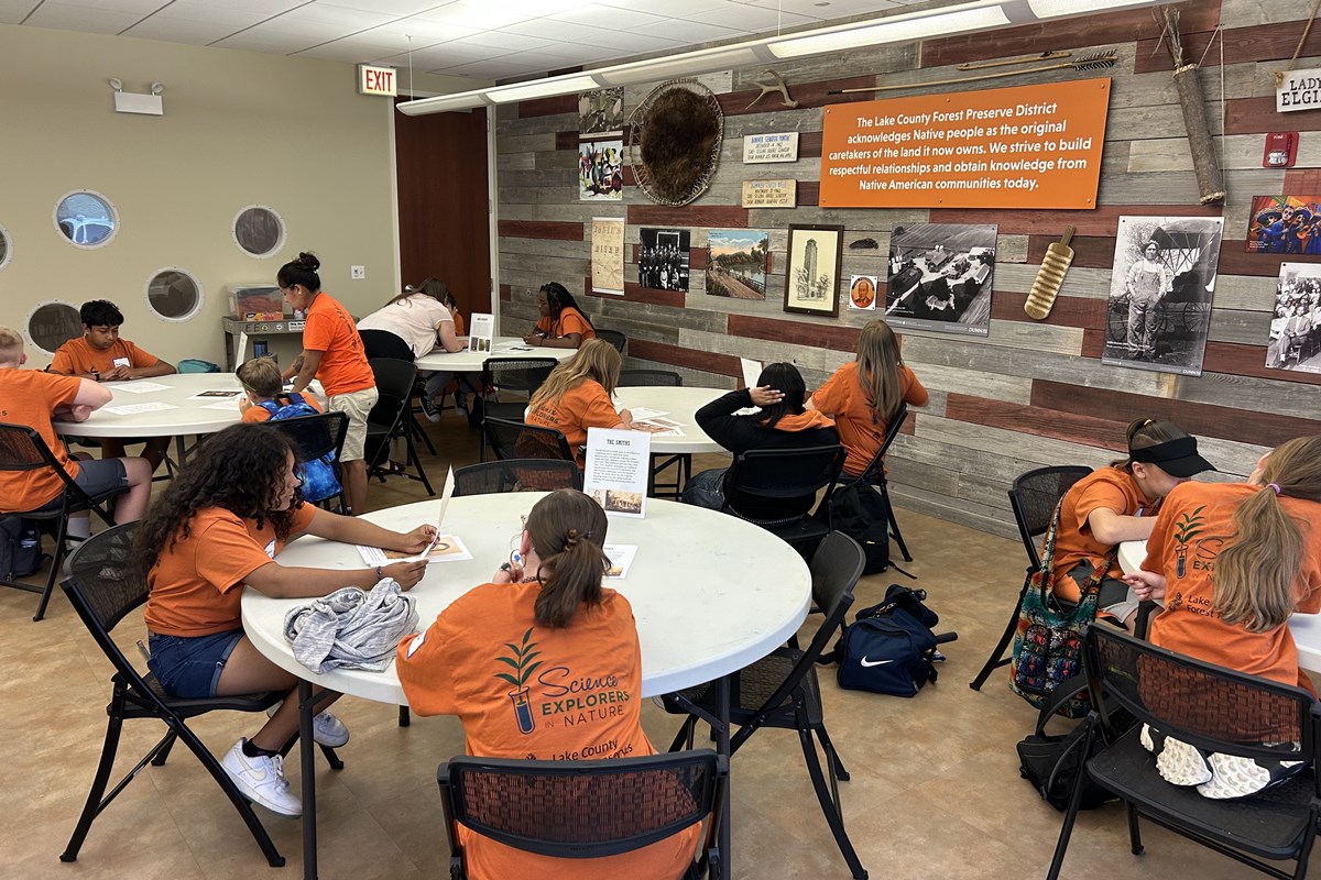 Teaching in the Museum