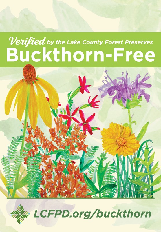 BUCKTHORN-2022-GardenFlag-2.5PolePocket-FINAL