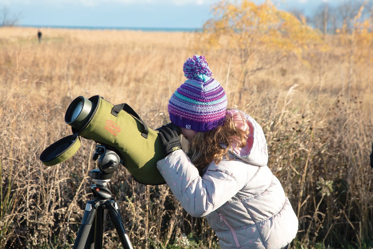Young girl birdwatching through a large spotting scope in a field.
