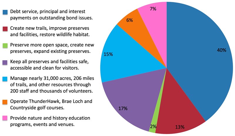BudgetChart2020