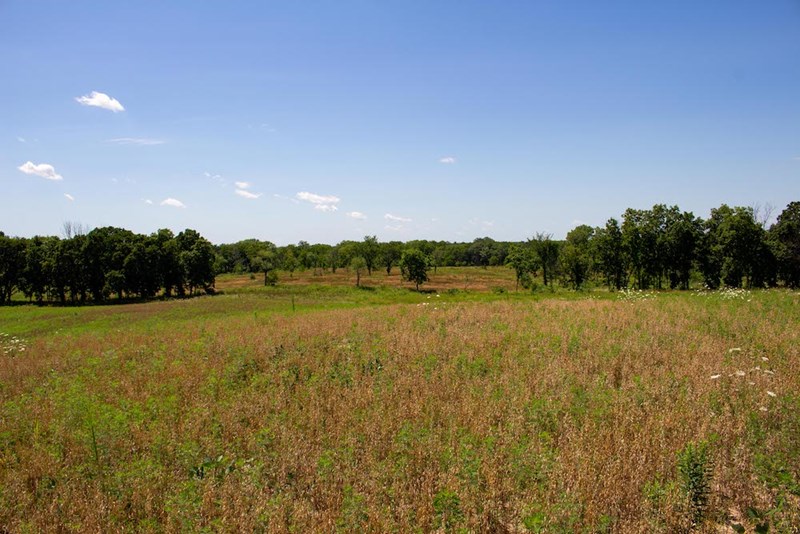 Creating_Climate_Resiliency_and_Reconnecting_Habitats_Image