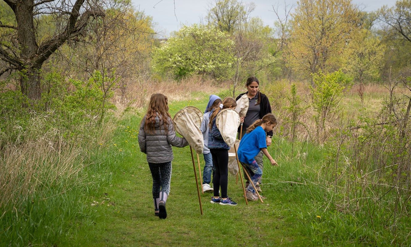 Youth participants, led by an environmental educator, scavenging trails for native species.