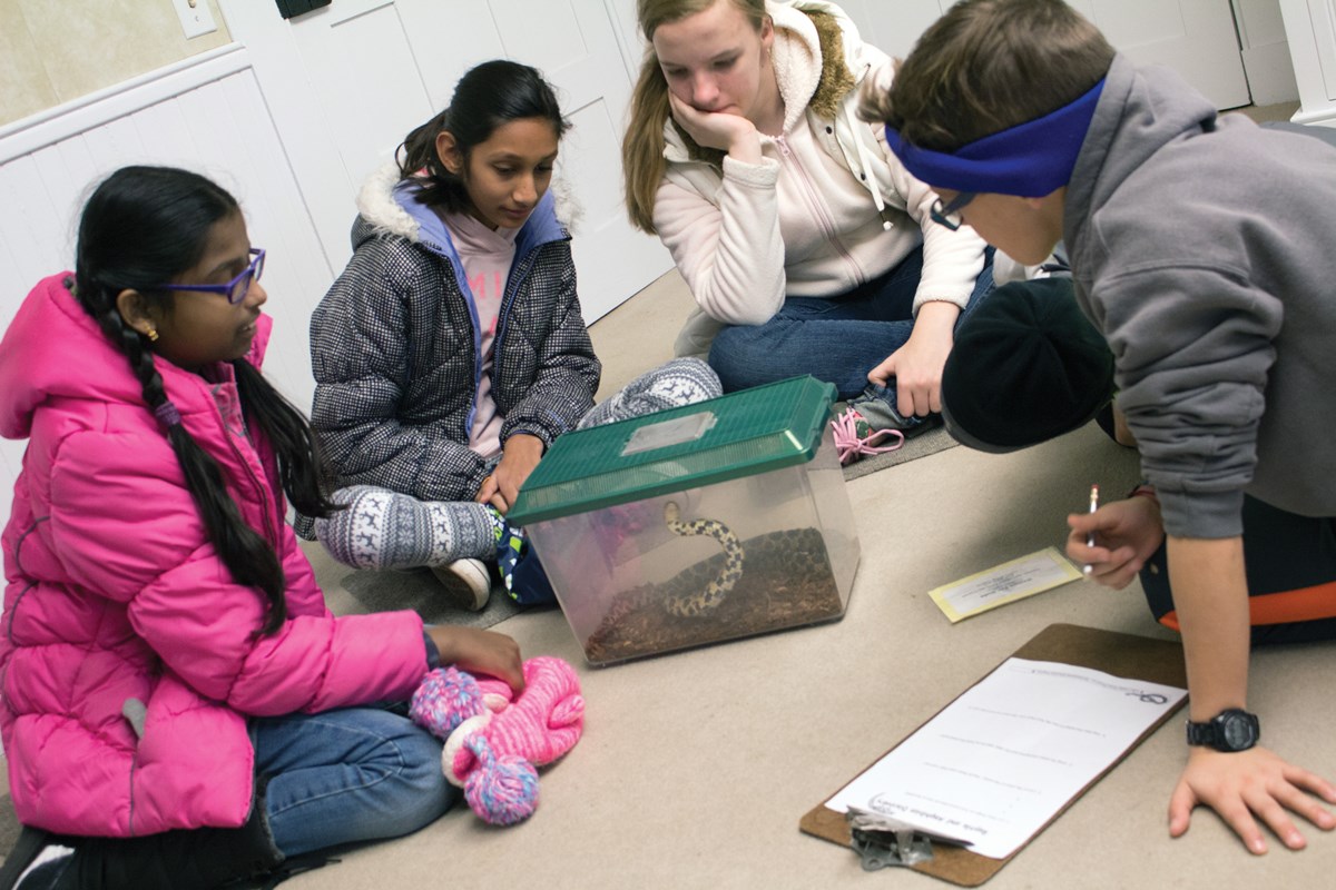 Students studying a live snake in a cage