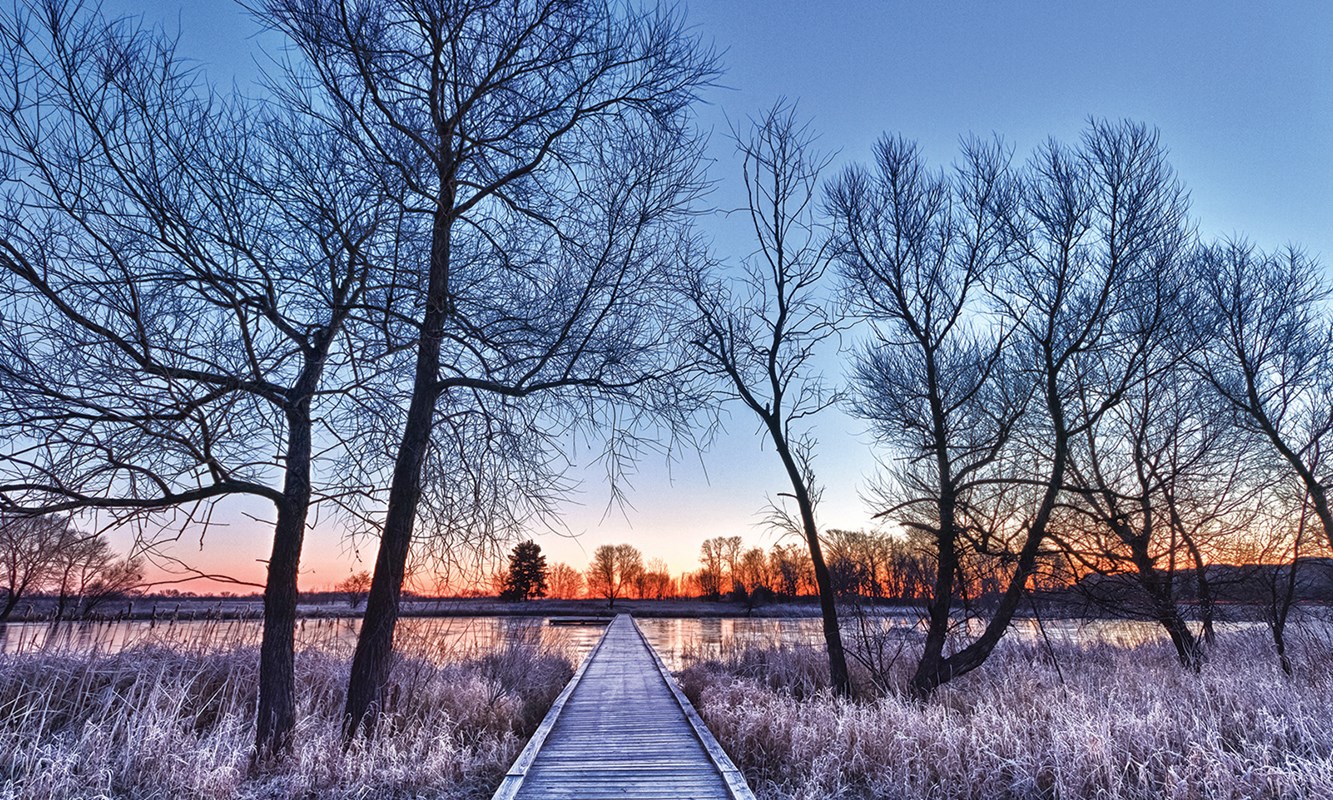 Boardwalk to water through the trees at Rollins