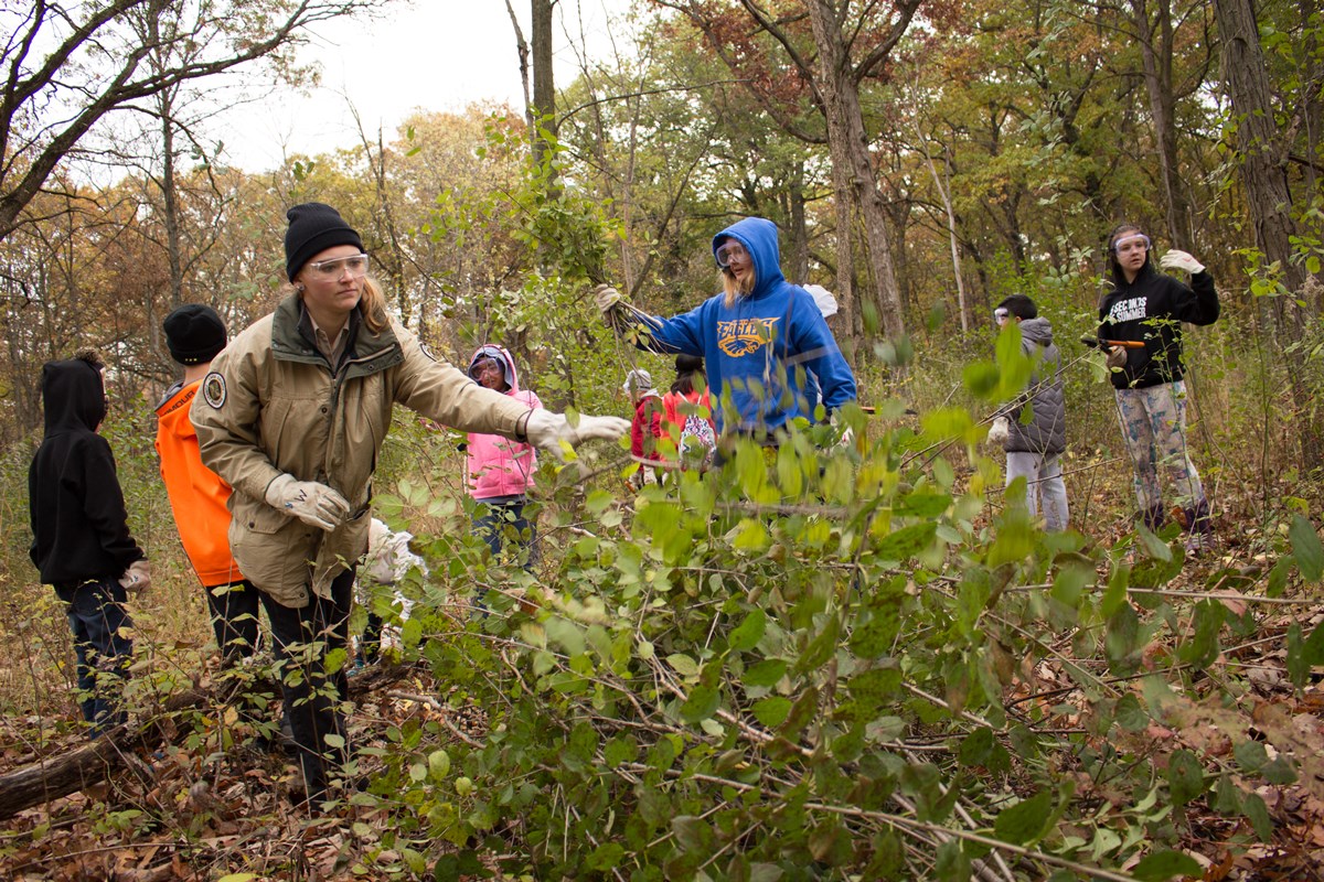 Join_the_Movement_to_Eradicate_Buckthorn___Projects