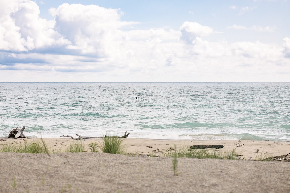 Lake_Plain-Session_2-FINAL-Becca_Heuer_Photography-Medium_Res_-317