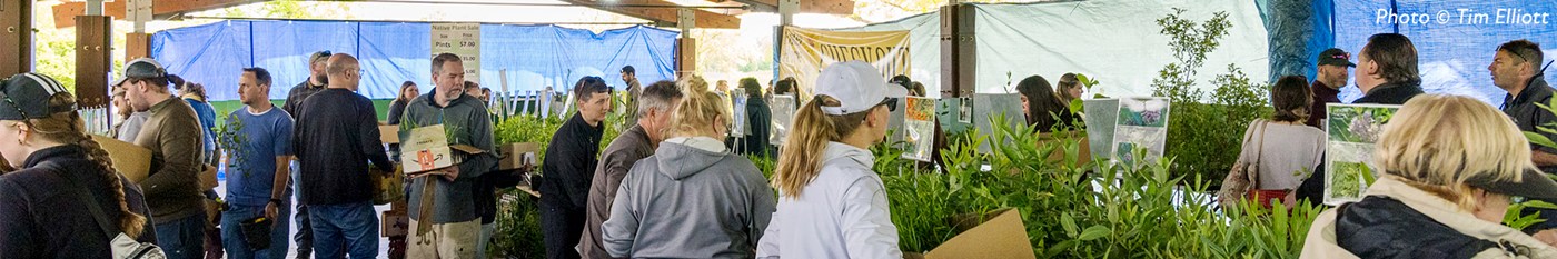 Visitors browsing the native plant sale inventory under a pavilion shelter
