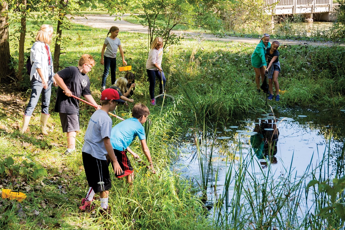 Group of children around a pond with nets in their hands.
