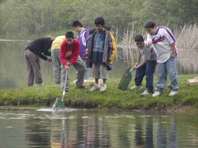 Pond_Picture_2
