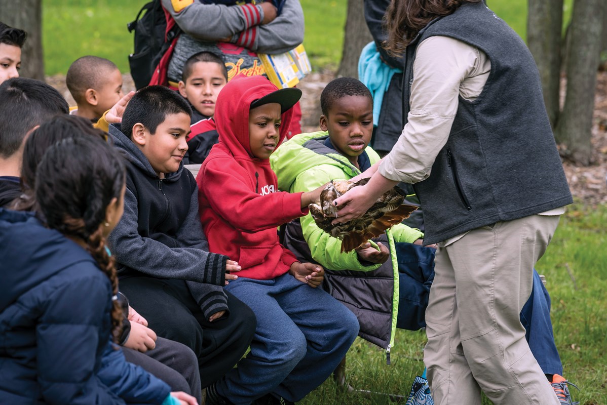 Instructor letting students pet a red-tailed hawk