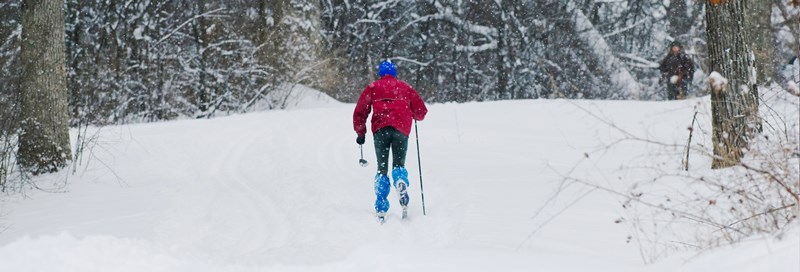 Skiing1