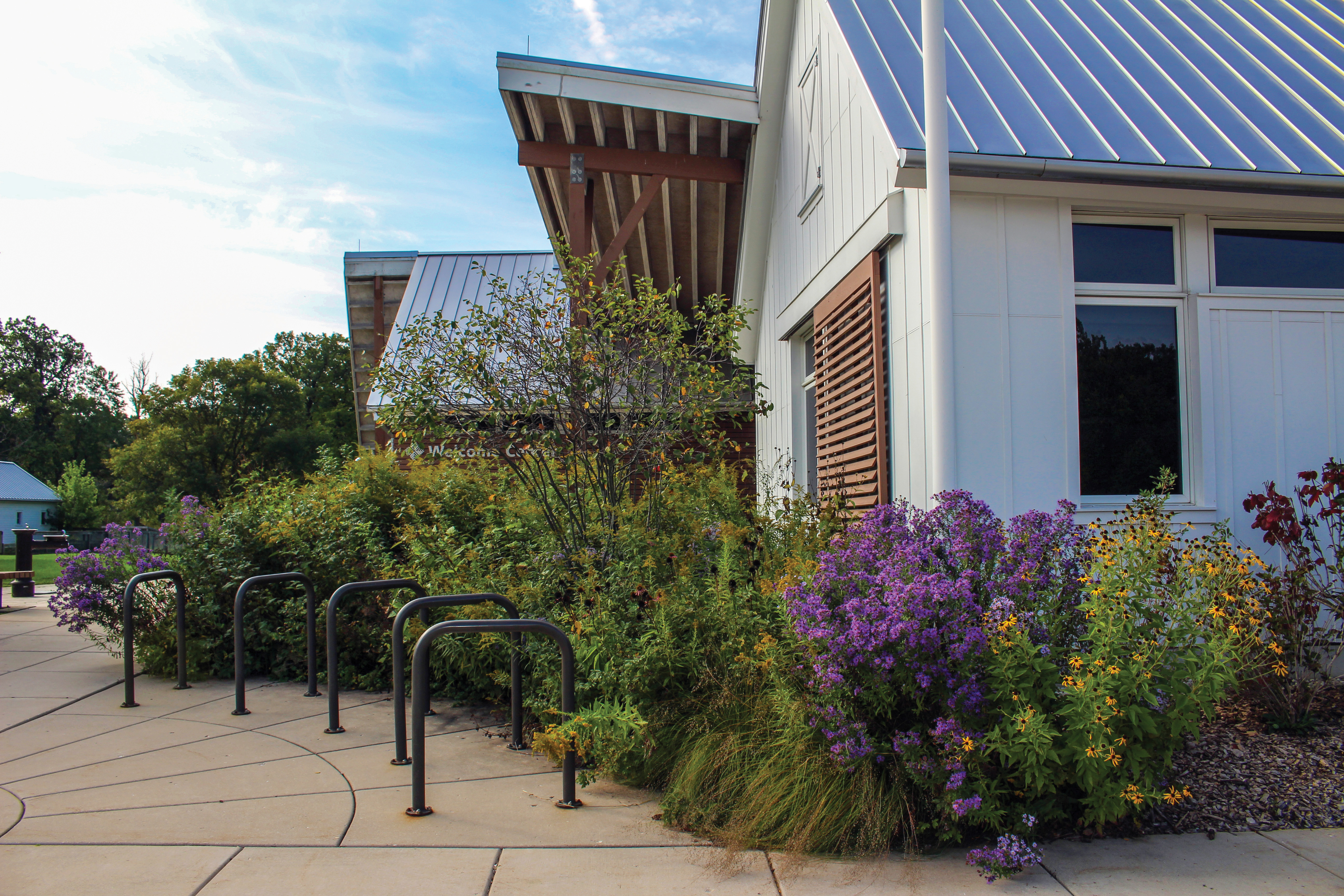 Native landscaping around Ryerson Welcome Center