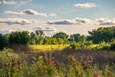 RALA-Fall2025-JohnDKavc-17