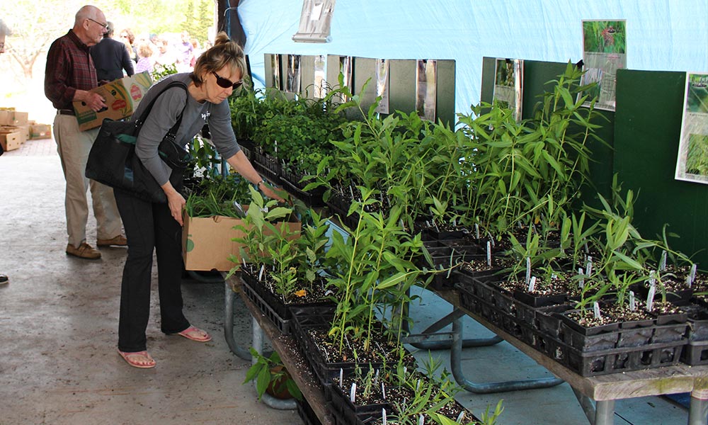 Native Plant Sale Lake Forest Preserves