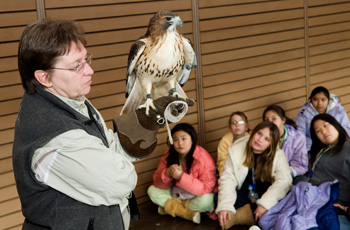 PredatorPrey