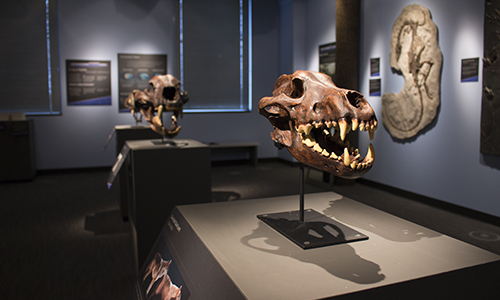 Prehistoric3