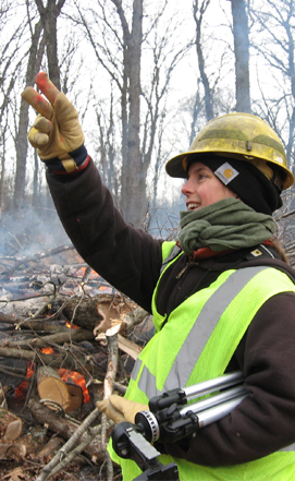 Brush Pile