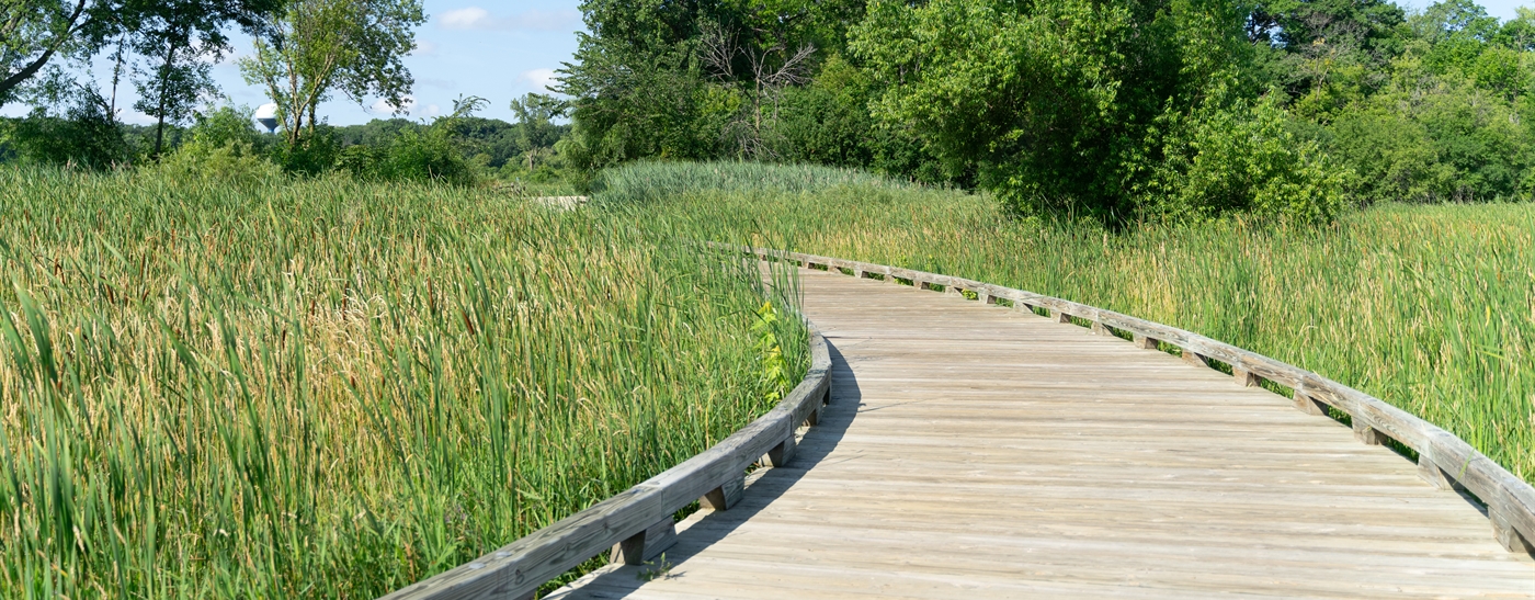Winding boardwalk bridge crossing over wetlands
