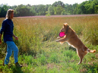 Prairie Wolf Dog Park